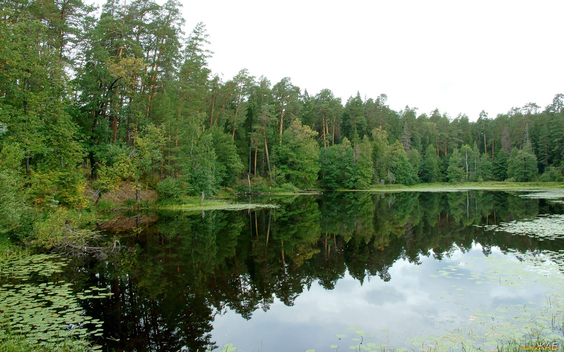 Озеро Лесное Нижний Новгород